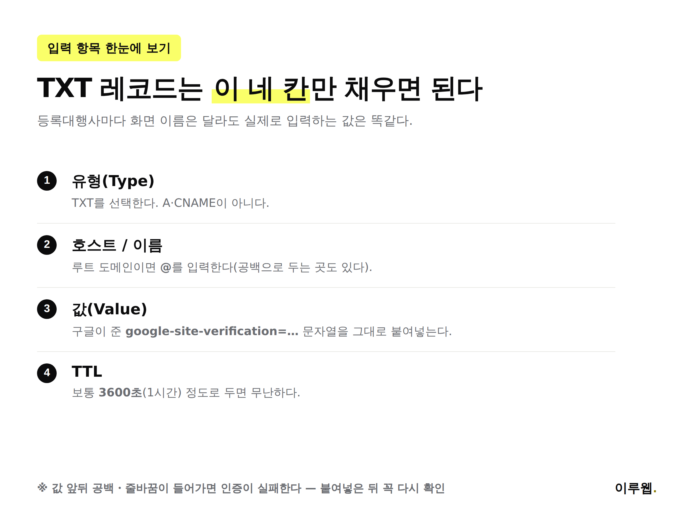 TXT 레코드 입력 항목 유형, 호스트, 값, TTL을 정리한 인포그래픽